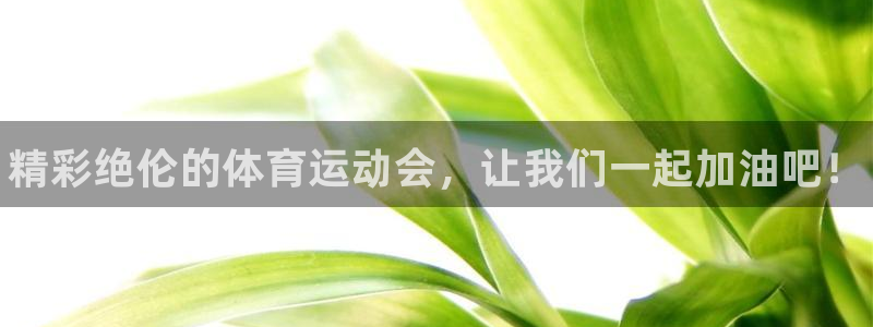 利记官网下载招商电话号码查询:精彩绝伦的体育运动会,让我们一